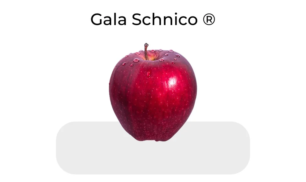 Golden Delicious